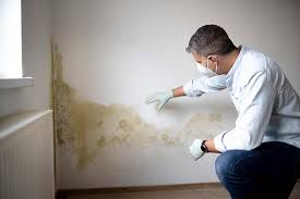 Best Mold Remediation for Healthcare Facilities  in Bradford, PA